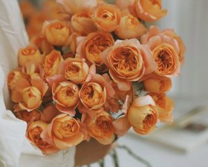 toko bunga di keroncong