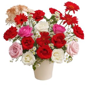 Viola Classic - Toko Bunga Online Detik Florist